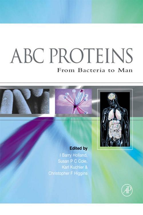 ABC Proteins