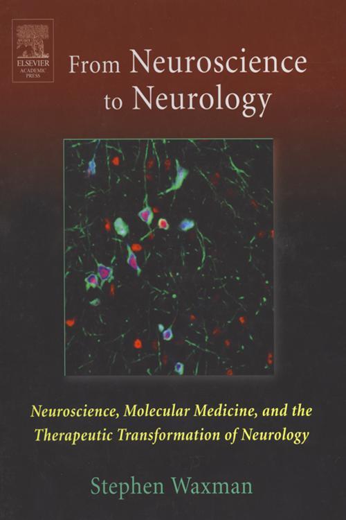 From Neuroscience to Neurology