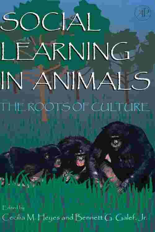 Social Learning In Animals