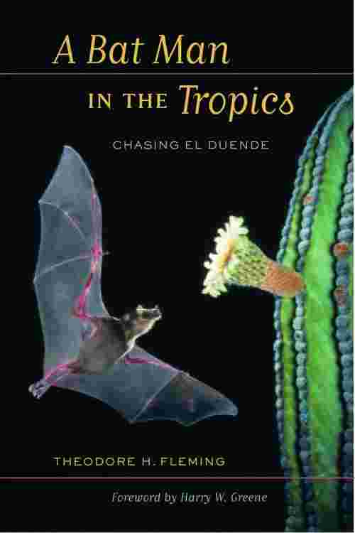A Bat Man in the Tropics