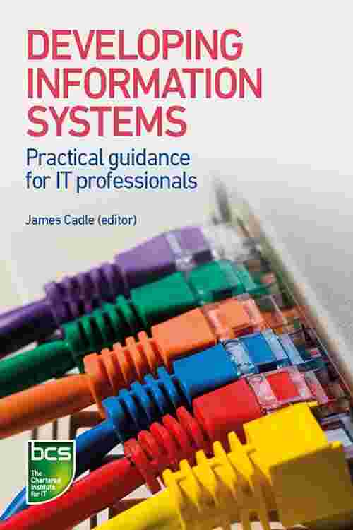 Developing Information Systems