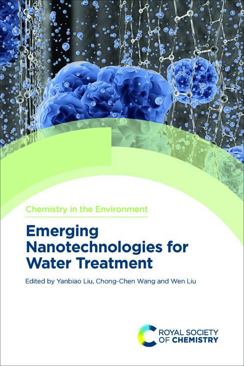 Emerging Nanotechnologies for Water Treatment