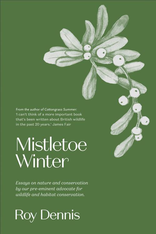 Mistletoe Winter