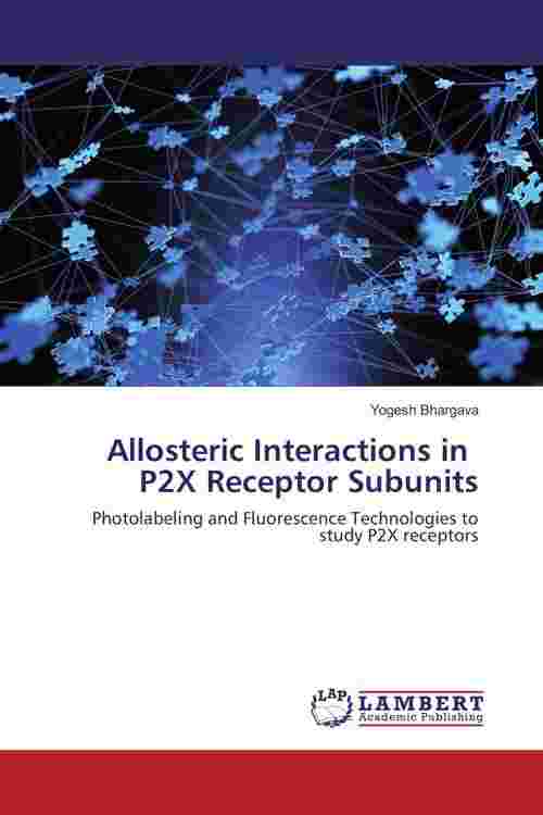 Allosteric Interactions in P2X Receptor Subunits