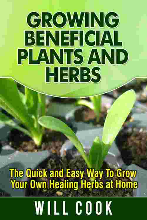 Growing Beneficial Plants and Herbs