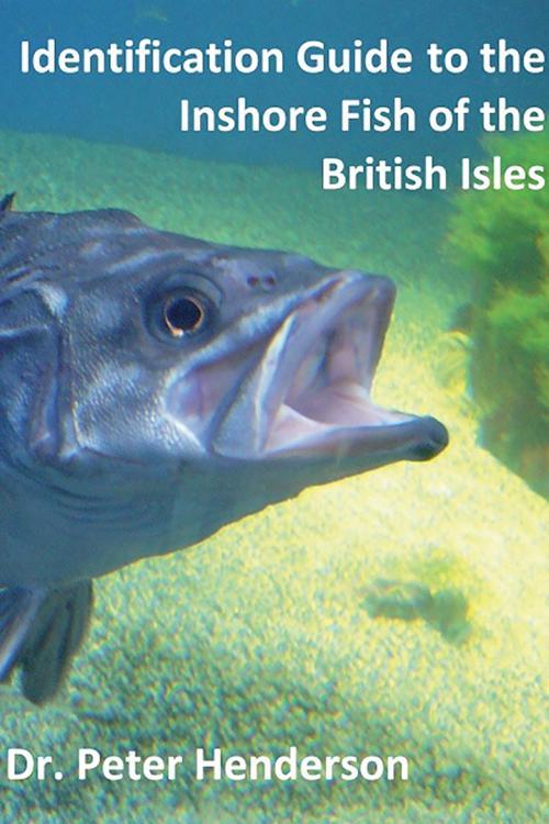 Identification Guide to the Inshore Fish of the British Isles