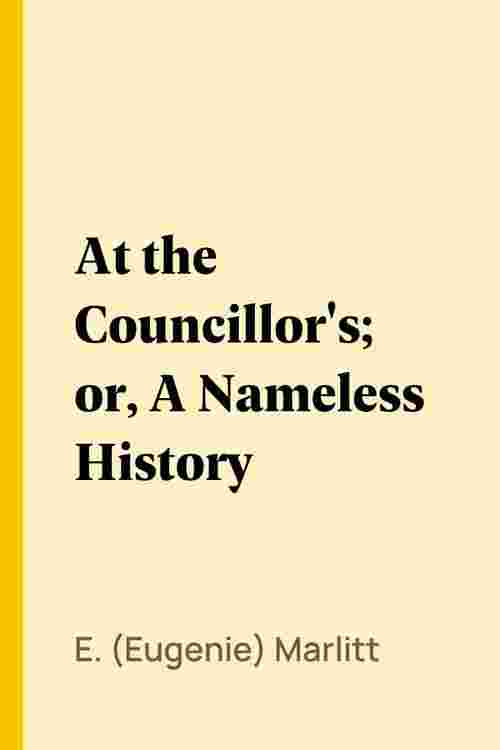At the Councillor's; or, A Nameless History