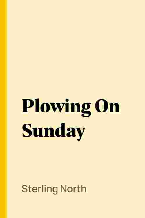 Plowing On Sunday