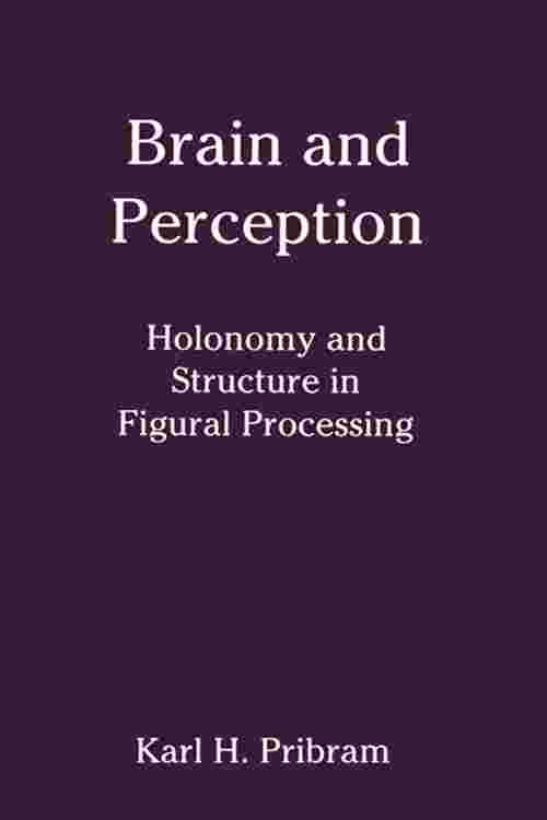 Brain and Perception