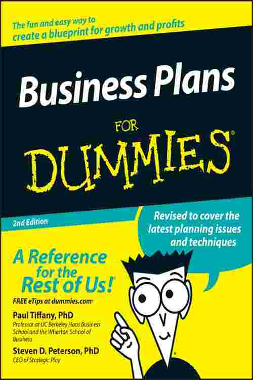 online business plan for dummies