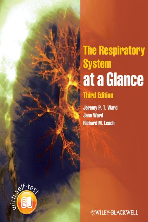 📖[PDF] The Respiratory System at a Glance by Jeremy P. T. Ward Perlego