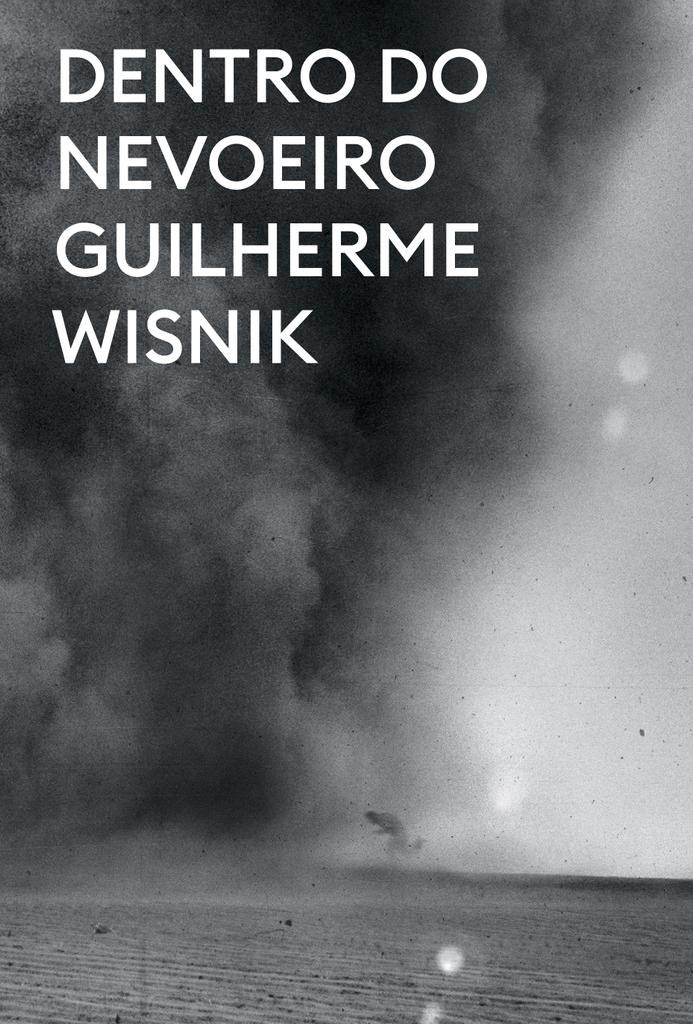 Dentro do nevoeiro - Guilherme Wisnik