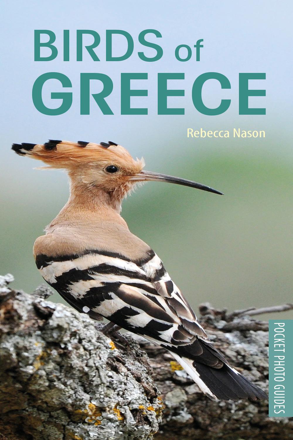 Birds of Greece - Rebecca Nason