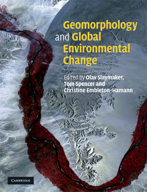 Geomorphology and Global Environmental Change - Olav Slaymaker, Thomas Spencer, Christine Embleton-Hamann