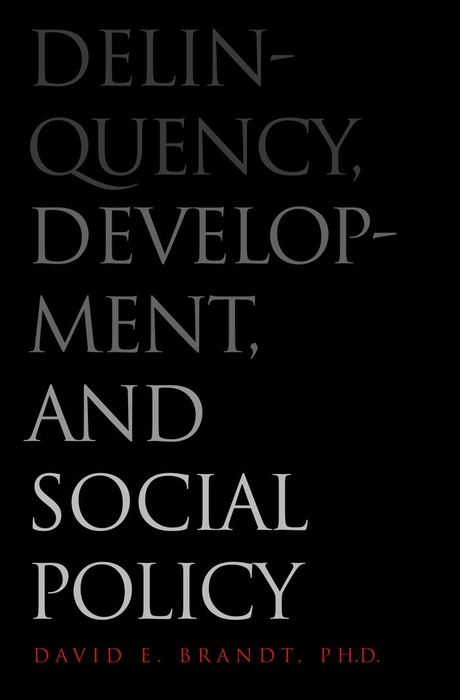 Delinquency, Development, and Social Policy - David E. Brandt