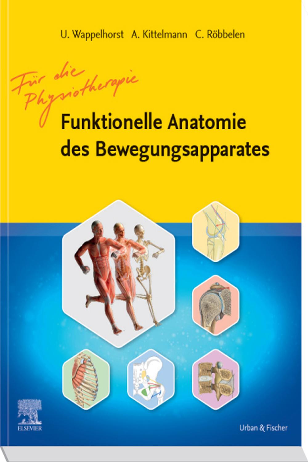 Funktionelle Anatomie des Bewegungsapparates - Lehrbuch - Ursula Wappelhorst, Andreas Kittelmann, Christoph Röbbelen
