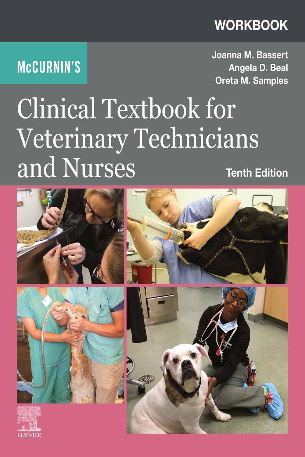 PDF] Workbook for McCurnin's Clinical Textbook for Veterinary Technicians  E-Book by Joanna M. Bassert eBook | Perlego