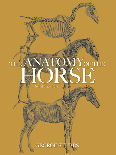 The Anatomy of the Horse - George Stubbs