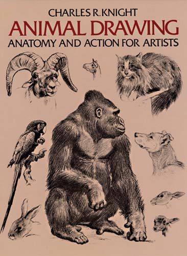 PDF] Animal Drawing by Charles Knight eBook | Perlego