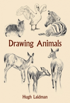 PDF] Drawing Animals by Hugh Laidman eBook | Perlego