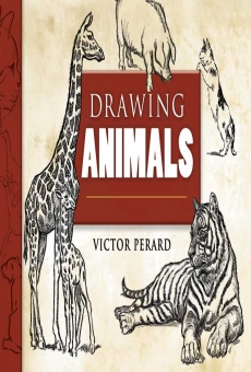 PDF] Drawing Animals by Victor Perard eBook | Perlego