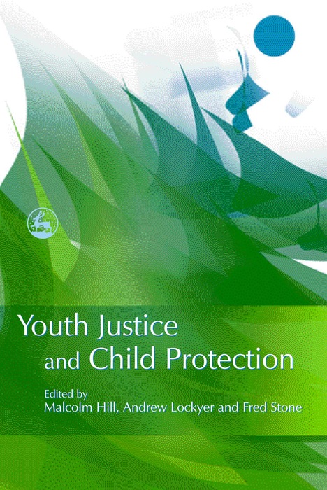 Youth Justice and Child Protection - Malcolm Hill, Andrew Lockyer, Fred Stone