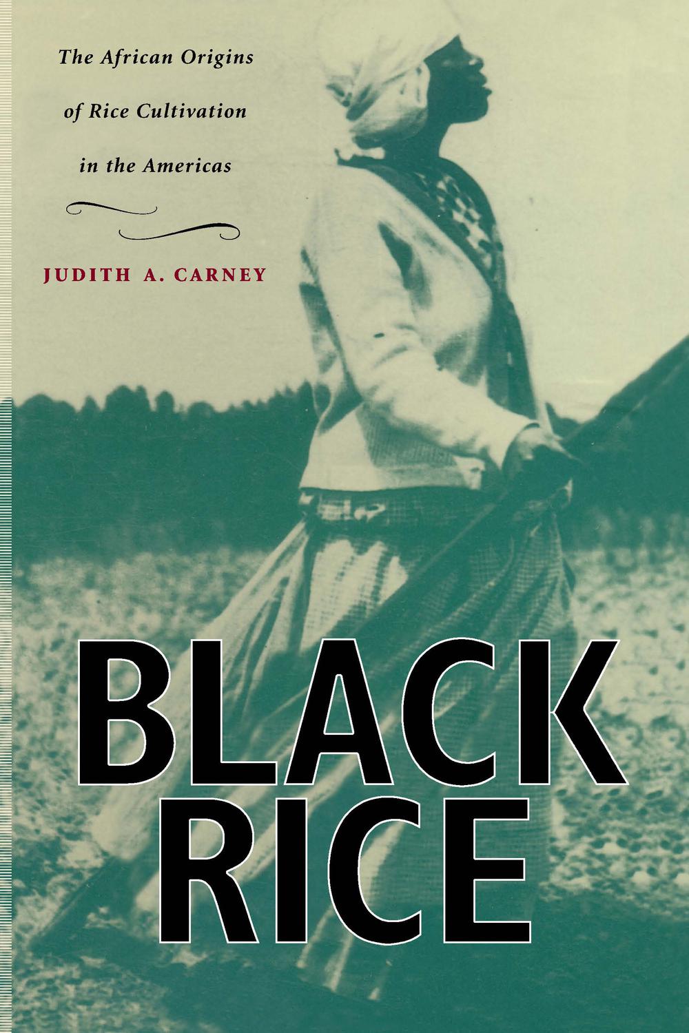 Black Rice - Judith Ann. CARNEY