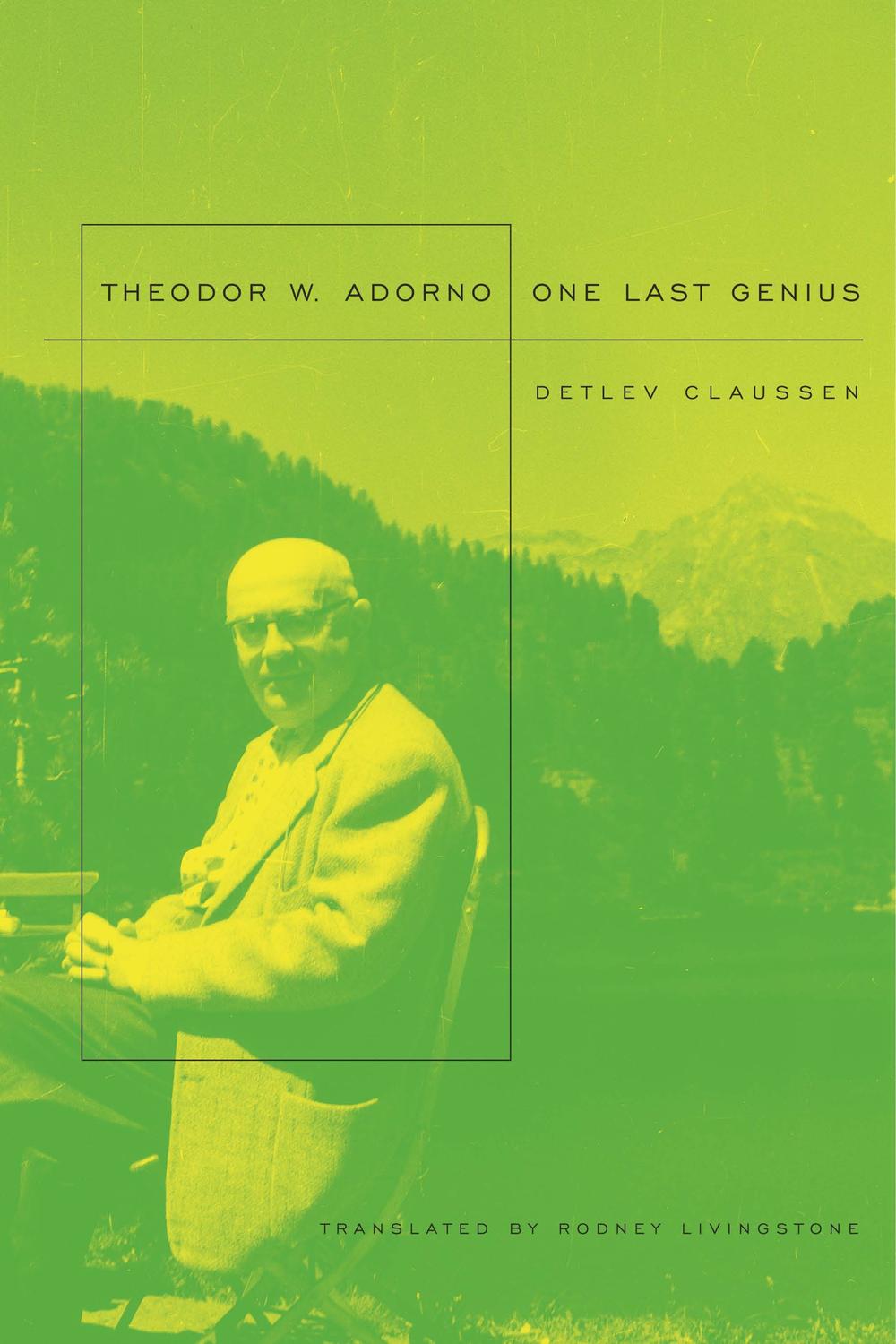 Theodor W. Adorno - Detlev Claussen