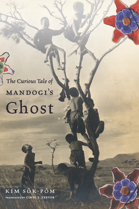 The Curious Tale of Mandogi's Ghost - Sok-pom Kim, Cindi Textor