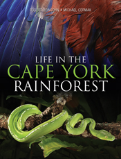 Life in the Cape York Rainforest - Robert Heinsohn, Michael Cermak