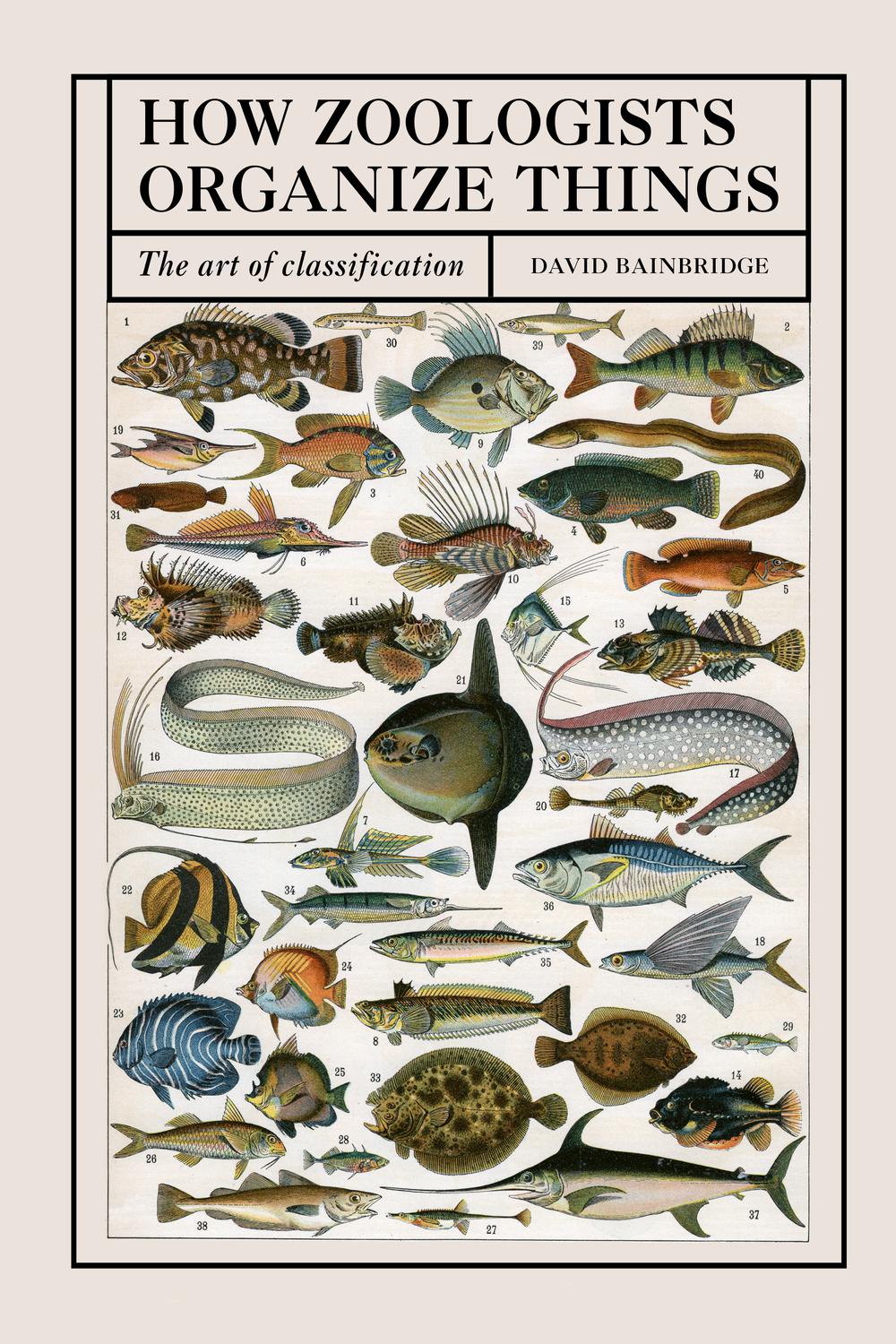 PDF] How Zoologists Organize Things by David Bainbridge eBook | Perlego