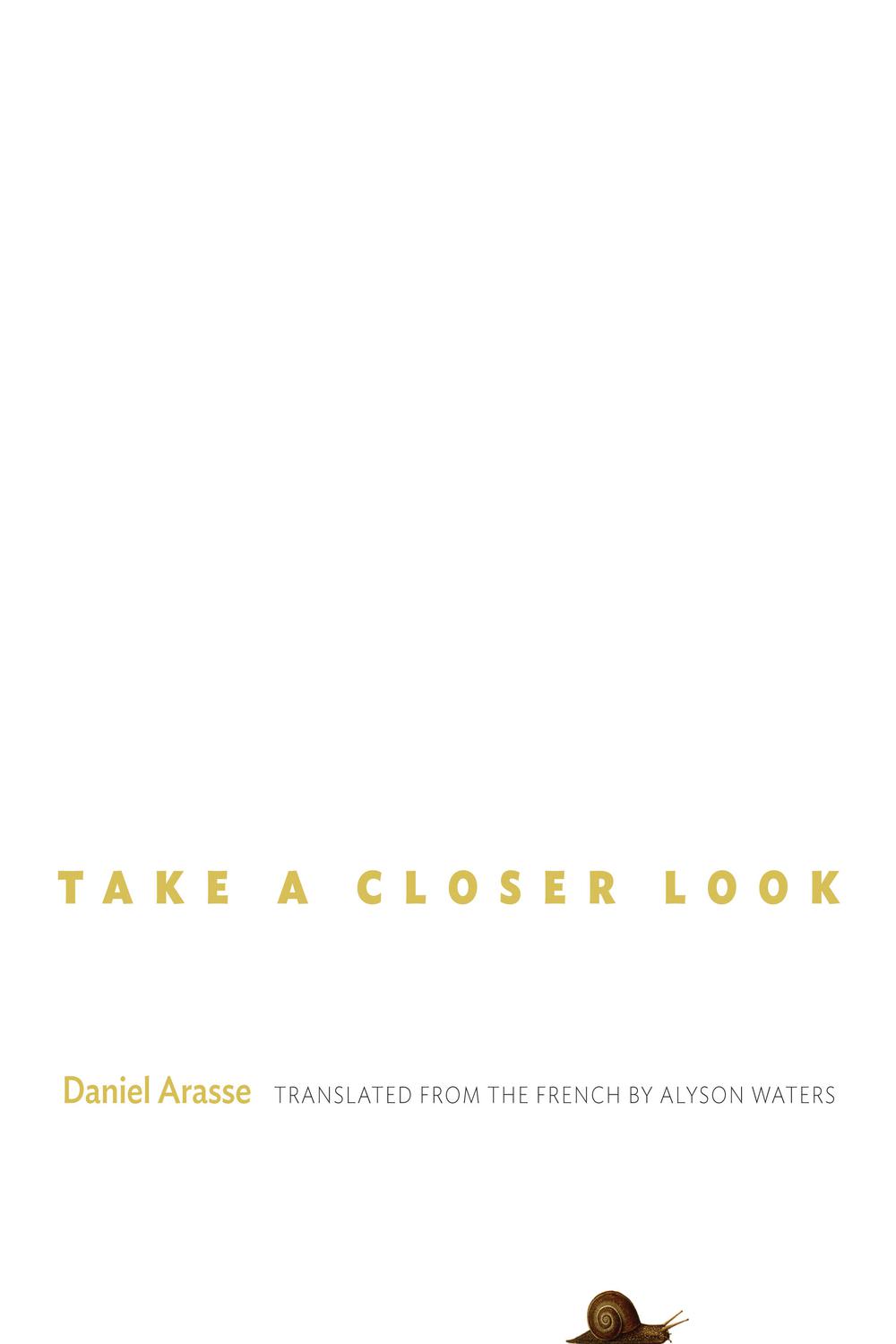 Take a Closer Look - Daniel Arasse,Alyson Waters,