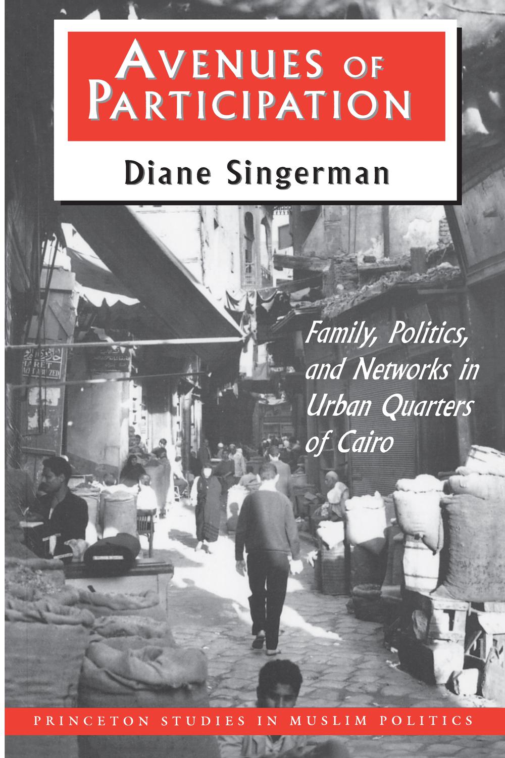 Avenues of Participation - Diane Singerman