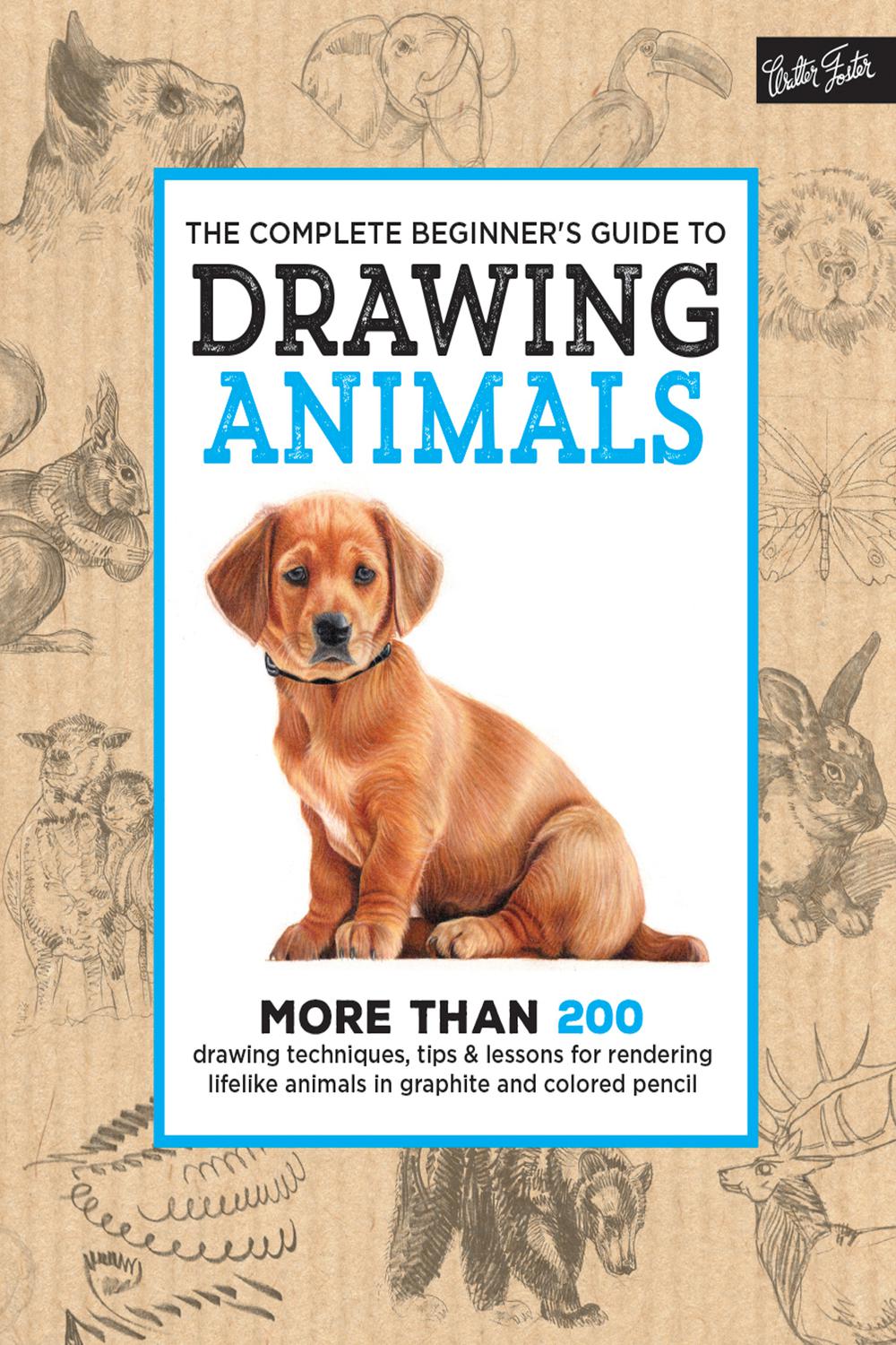 PDF] The Complete Beginner's Guide to Drawing Animals by eBook | Perlego