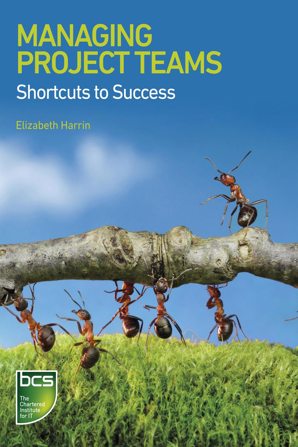 Managing Project Teams - Elizabeth Harrin