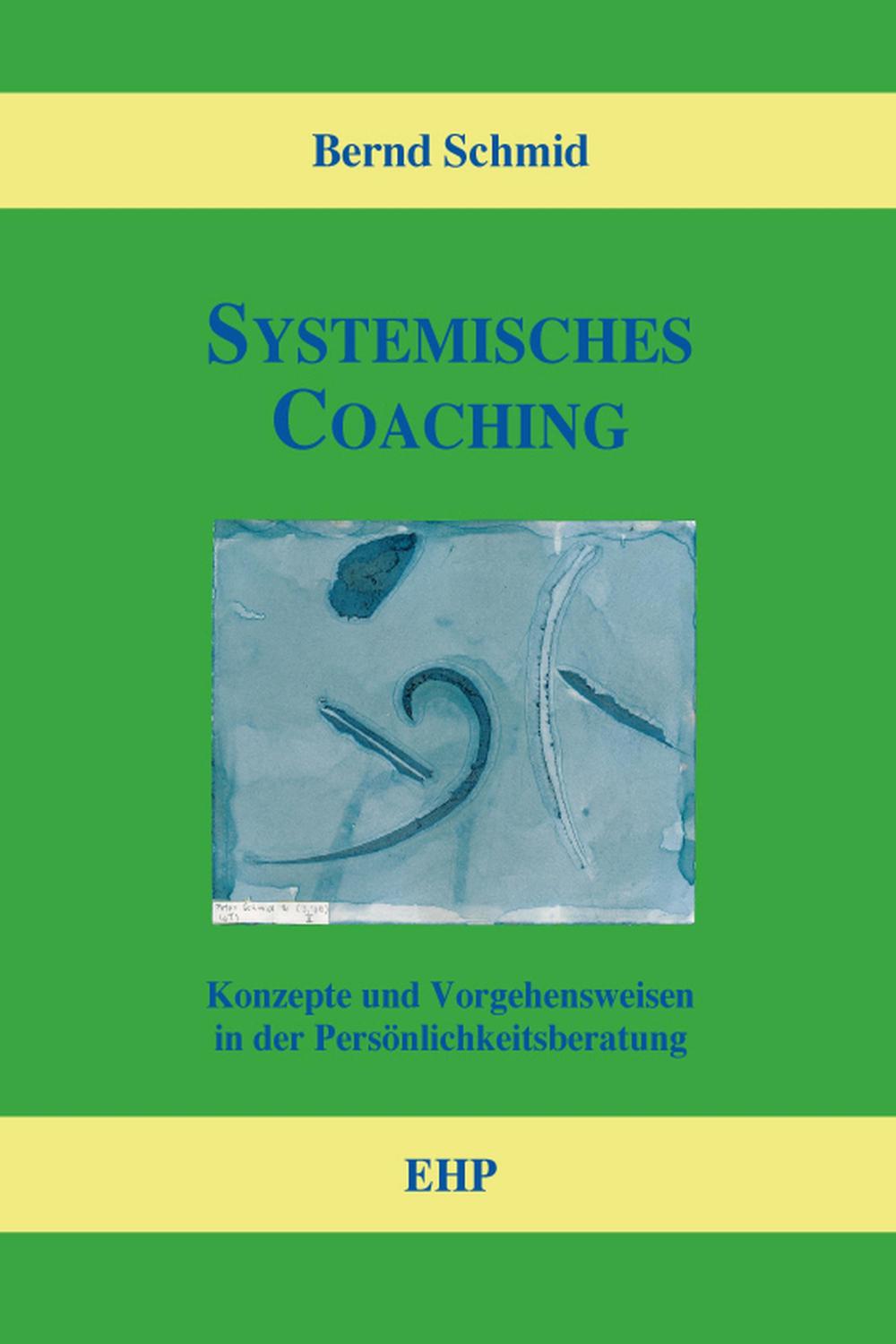 Systemisches Coaching - Bernd Schmid, Ingeborg Weidner