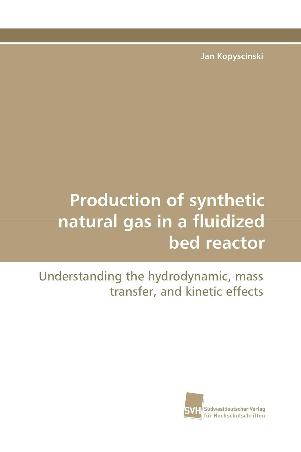 Production of synthetic natural gas in a fluidized bed reactor - Jan Kopyscinski