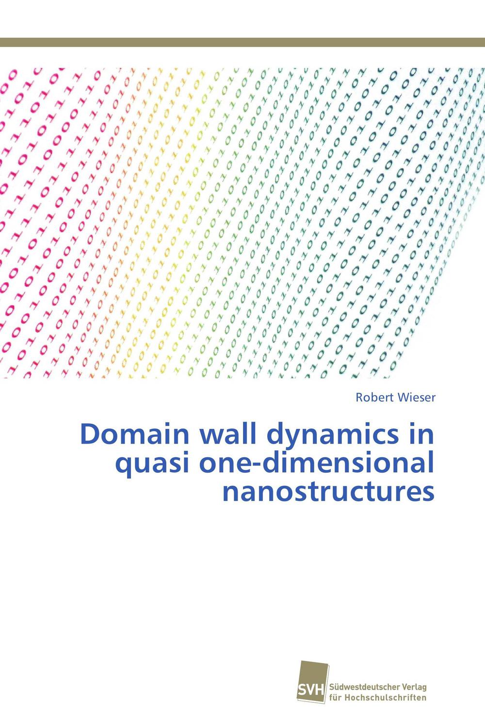 Domain wall dynamics in quasi one-dimensional nanostructures - Robert Wieser
