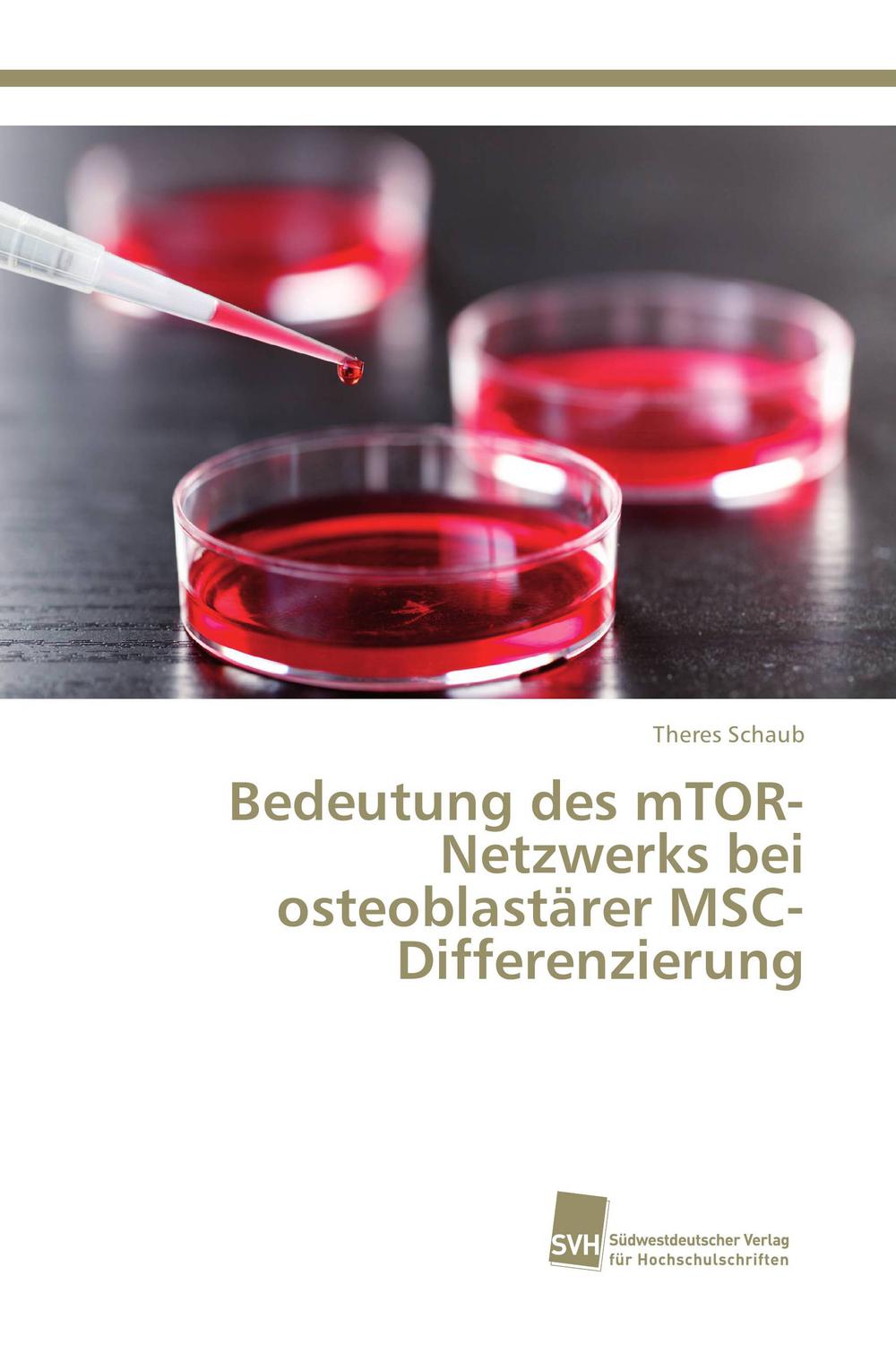 Bedeutung des mTOR-Netzwerks bei osteoblastärer MSC-Differenzierung - Theres Schaub