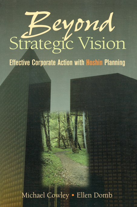 Beyond Strategic Vision - Michael Cowley, Ellen Domb
