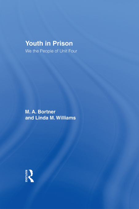Youth in Prison - M. A. Bortner, Linda Williams