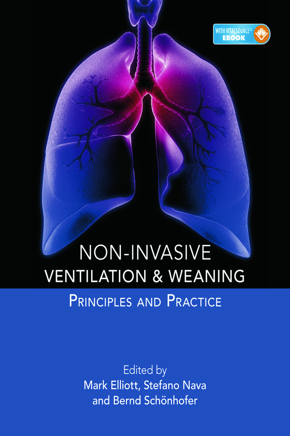 Non-invasive Ventilation and Weaning: Principles and Practice - Mark Elliott, Stefano Nava, Bernd Schonhofer