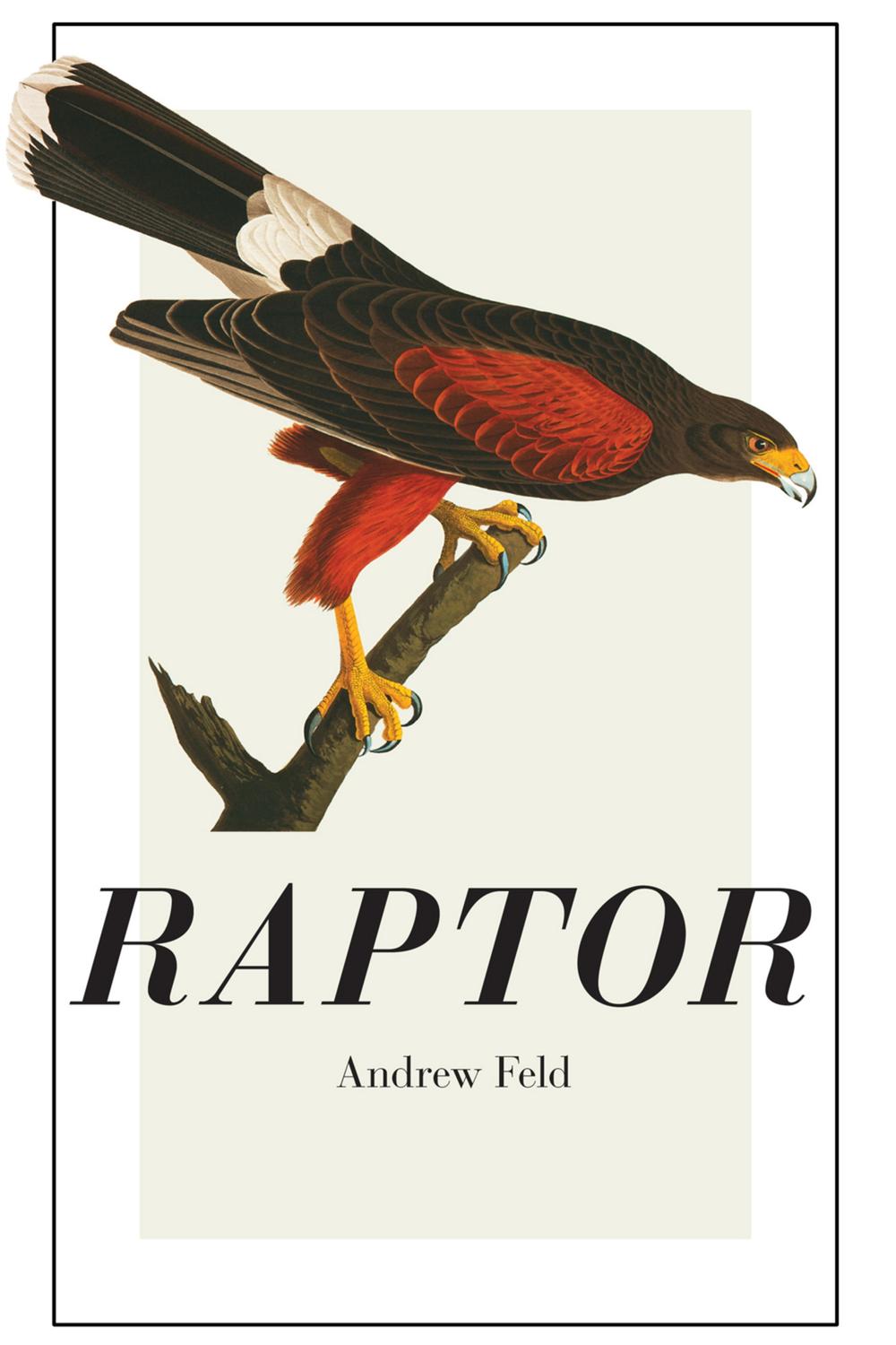 Raptor - Andrew Feld