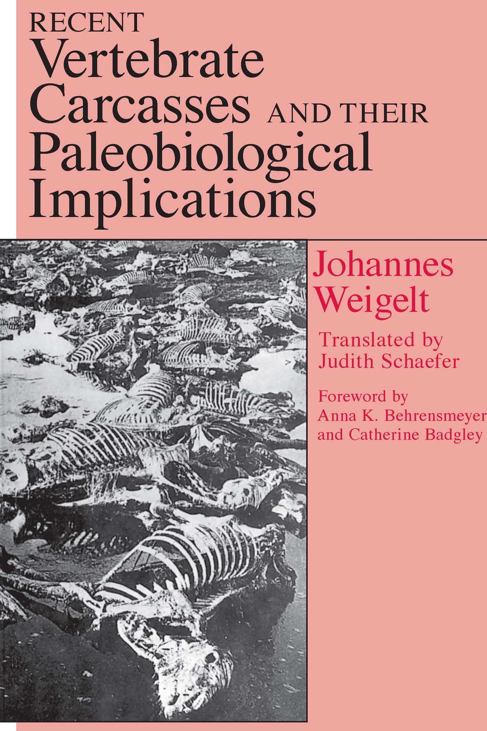 Recent Vertebrate Carcasses and Their Paleobiological Implications - Johannes Weigelt, Judith Schaefer
