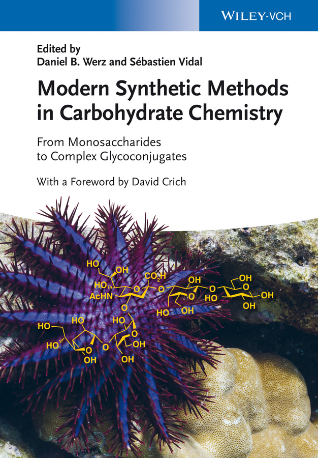 Modern Synthetic Methods in Carbohydrate Chemistry - Daniel B. Werz, Sebastien Vidal