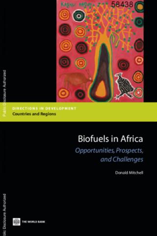 Biofuels in Africa - Donald Mitchell